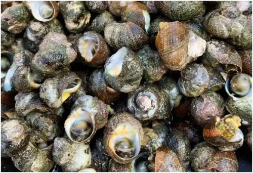 长海县旅游攻略海滩,长海县海岛赶海地点推荐