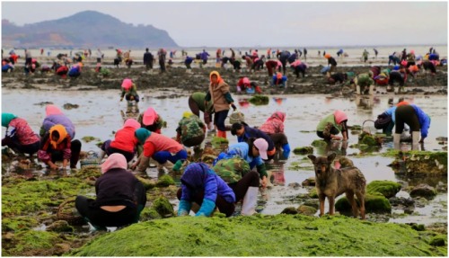 长海县旅游攻略海滩,长海县海岛赶海地点推荐