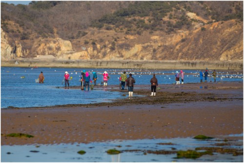 长海县旅游攻略海滩,长海县海岛赶海地点推荐