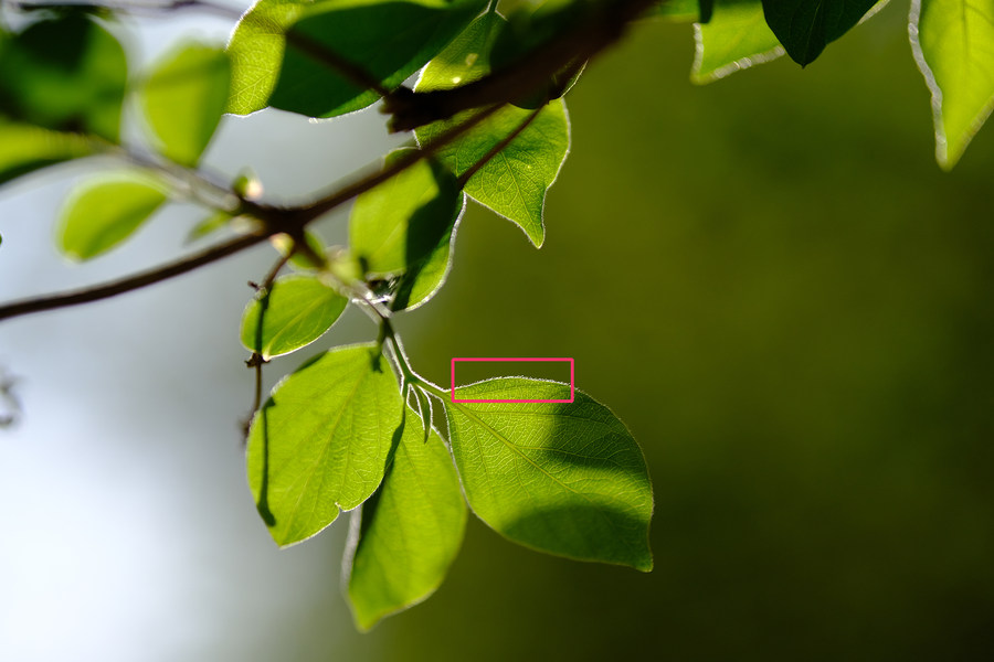 瀵屽＋x鍗″彛150-600,瀵屽＋x鍗″彛23mm鎺ㄨ崘