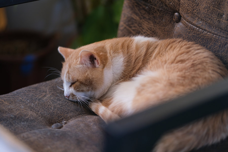 瀵屽＋x鍗″彛150-600,瀵屽＋x鍗″彛23mm鎺ㄨ崘