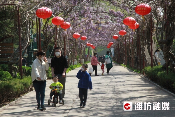 金宝乐园五一免费吗,金宝乐园五一开放吗