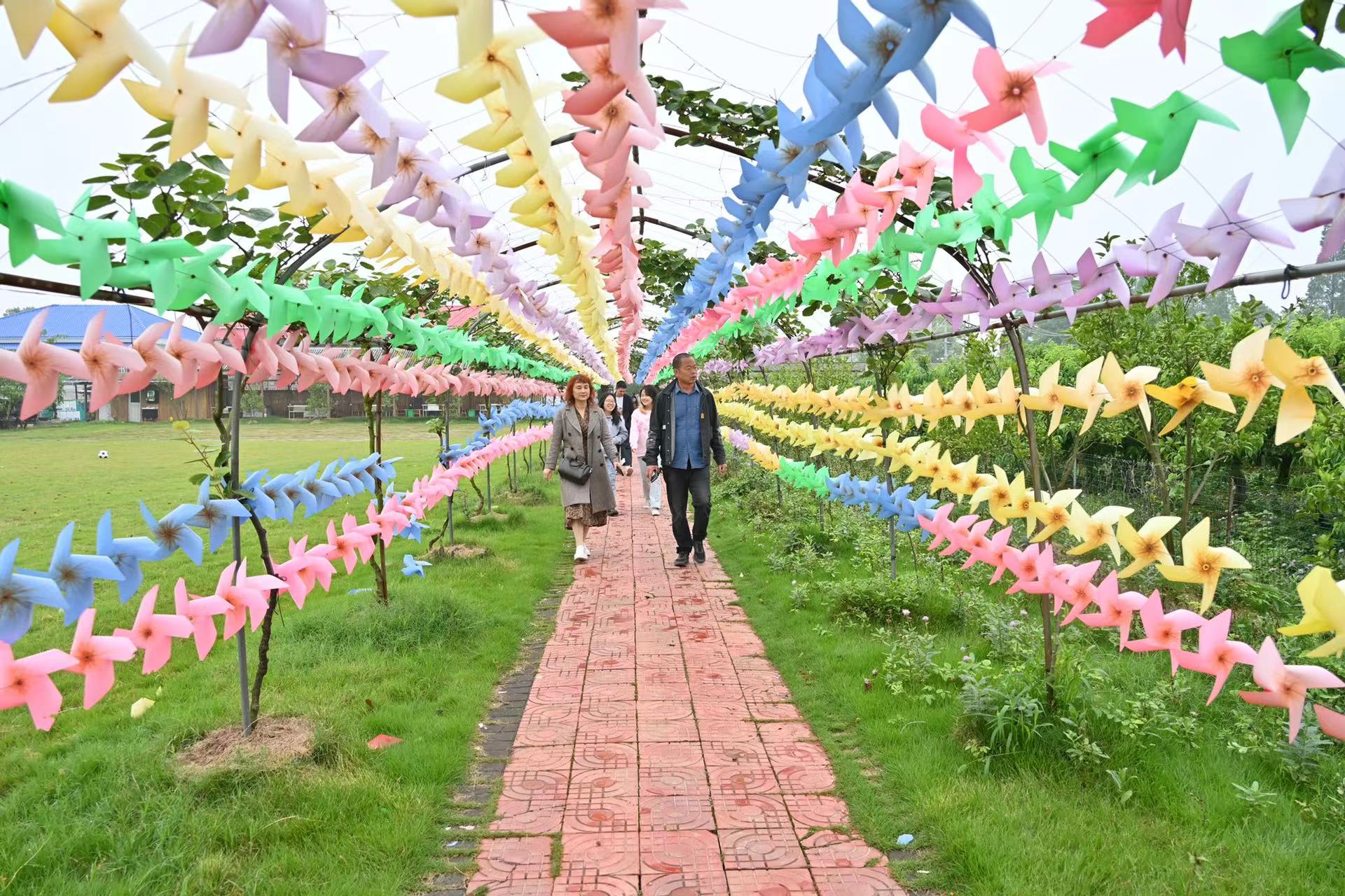 江苏小龙虾之乡攻略,到小龙虾之乡游玩