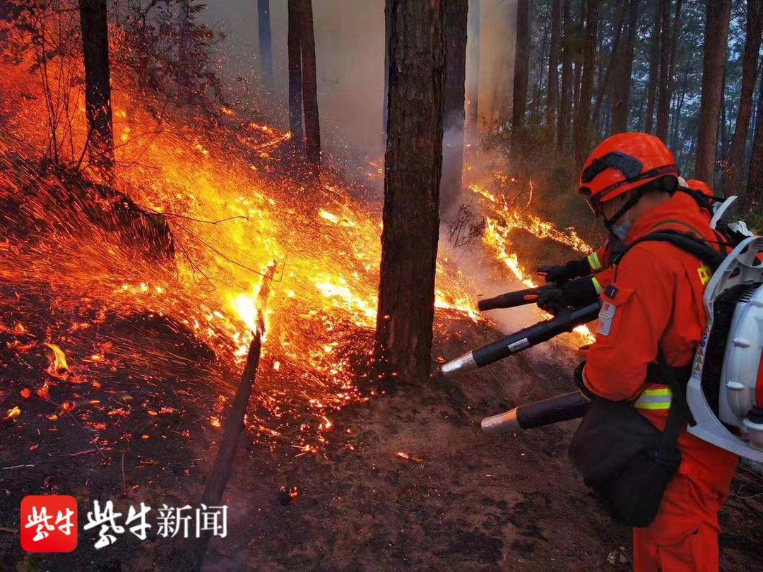 汶川地震14周年今昔对比,汶川地震14周年你还记得他们吗