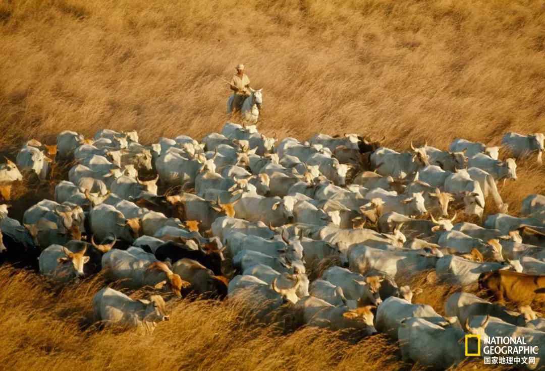 最伟大的作品6张照片,30秒最伟大的作品