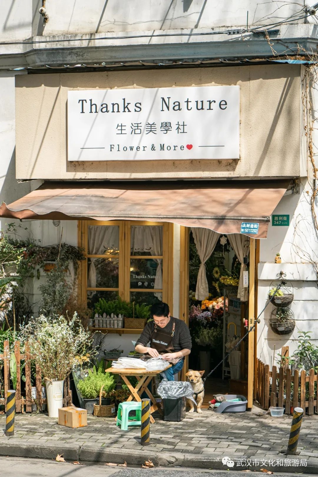 武汉十大必玩处,武汉十大儿童必玩地方