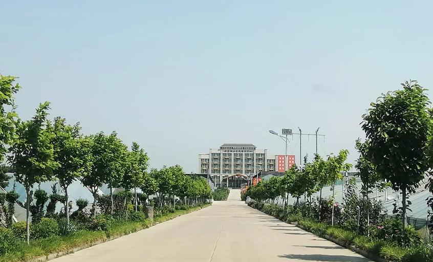 从空壳村逆袭为示范村,从贫困村到乡村蝶变