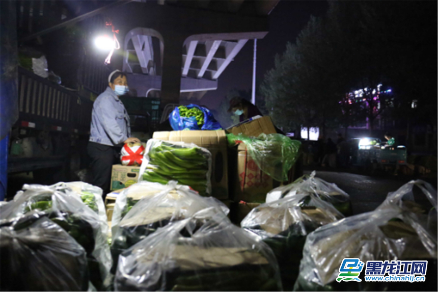 精品蔬菜批发市场图片,哈尔滨薛家蔬菜批发市场