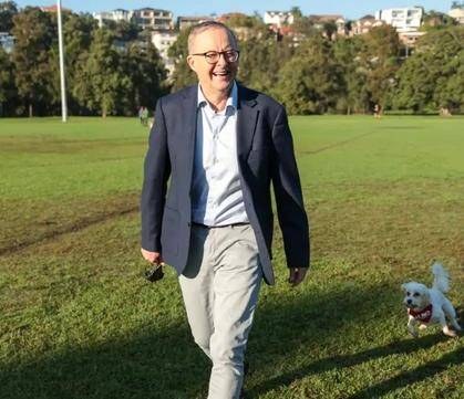 侃天下｜澳新总理爱犬开社交媒体账号，首条推文：我来啦！汪