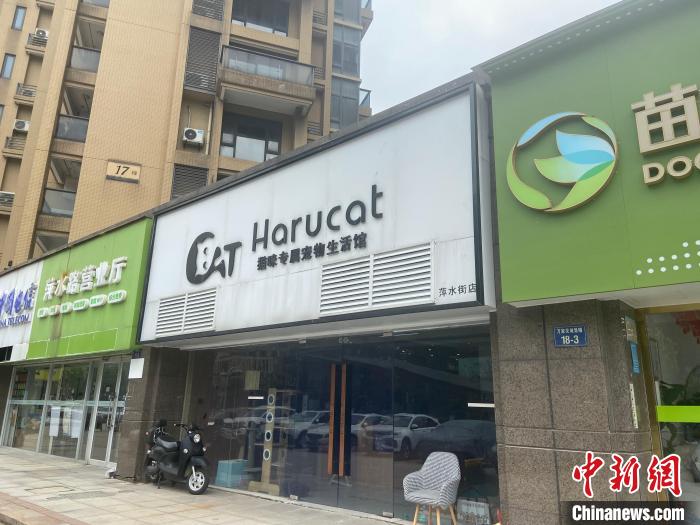 为什么当代年轻人养宠物,为什么年轻人喜欢养宠物