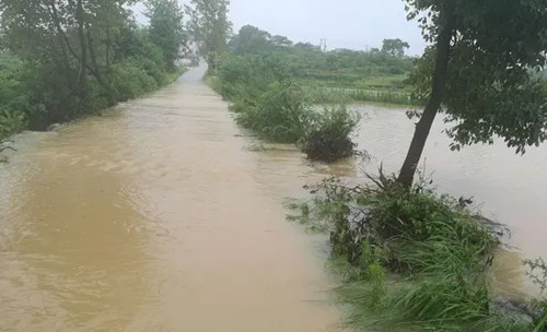 干旱对养虾的影响,人工降雨对养虾有什么影响