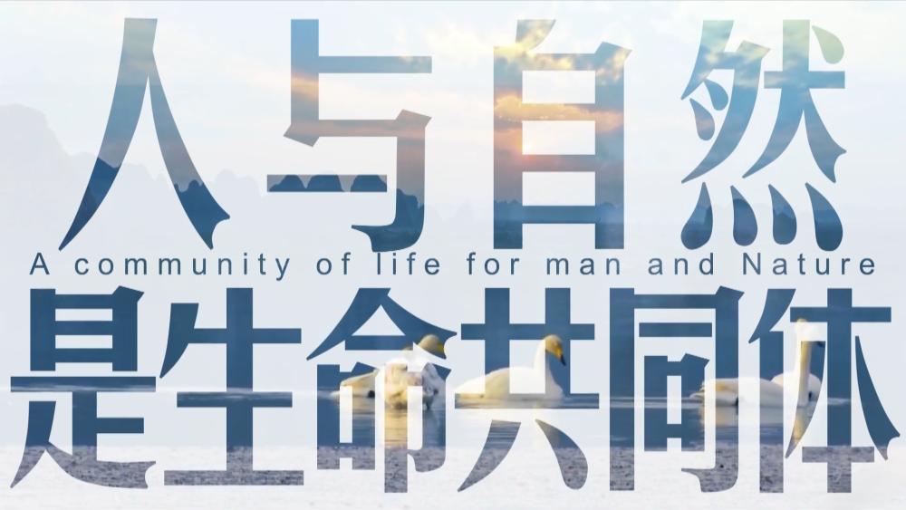 微视频怎么发布有收益,微视频爱情片