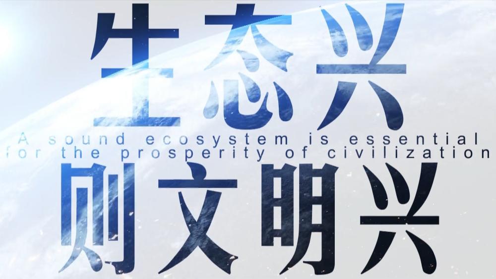 微视频怎么发布有收益,微视频爱情片