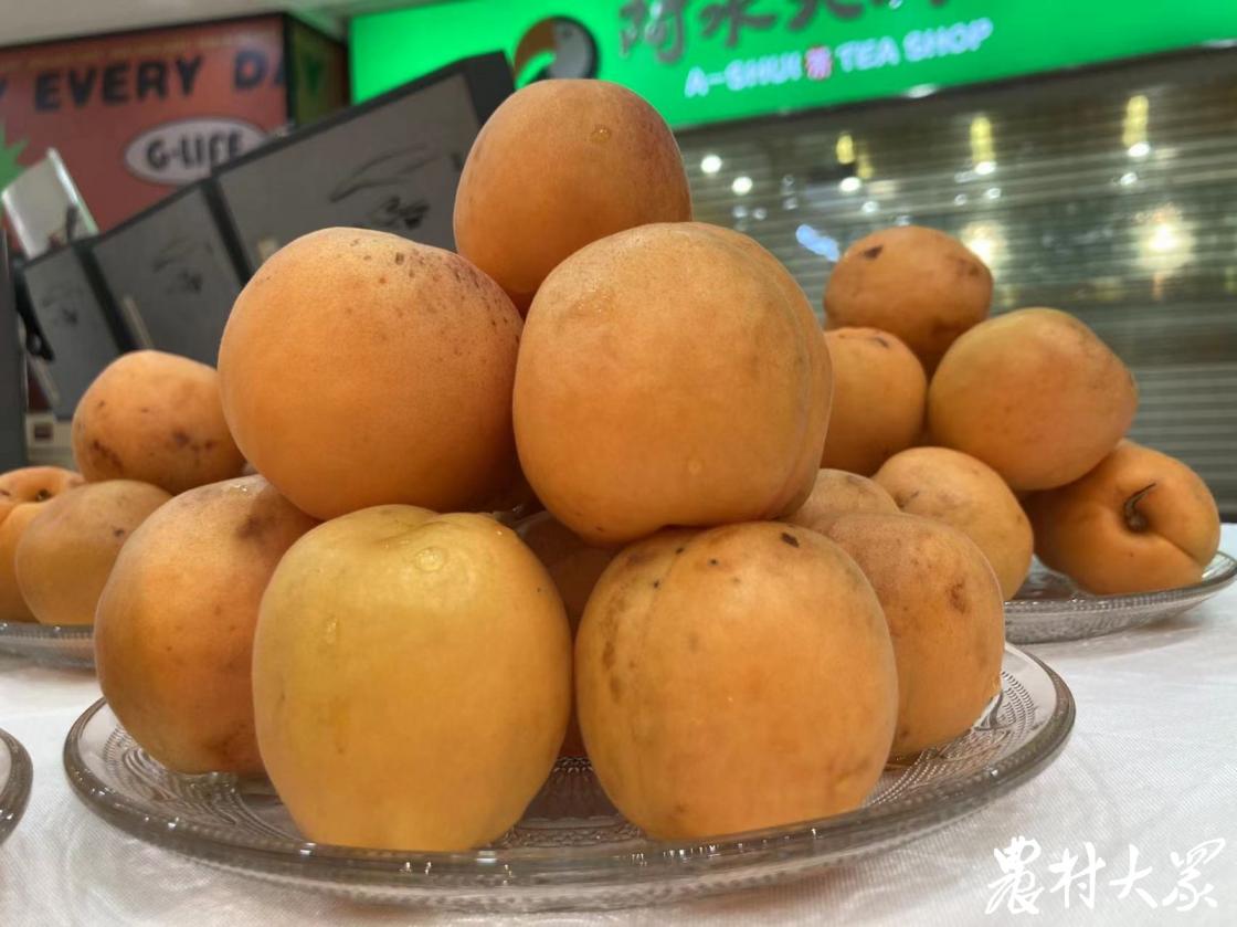 当御杏遇到艺术，价值升维果更“香”