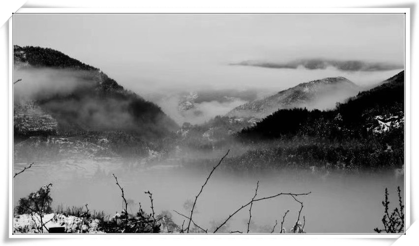 闽东之光丨郑承东：一条路的血色九贝（一）