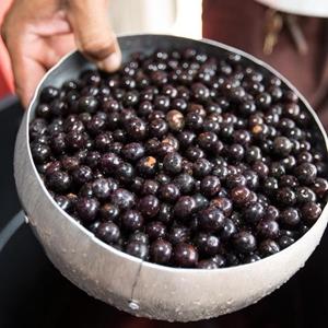 巴西阿萨伊果粉,巴西阿萨伊碗的做法