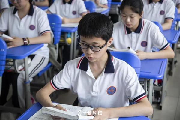 合肥市民办初中排名,合肥蜀山区私立学校排名