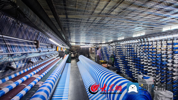 品质滨州丨“小绳网”编织“大产业”惠民绳网“网”住全国八成市场