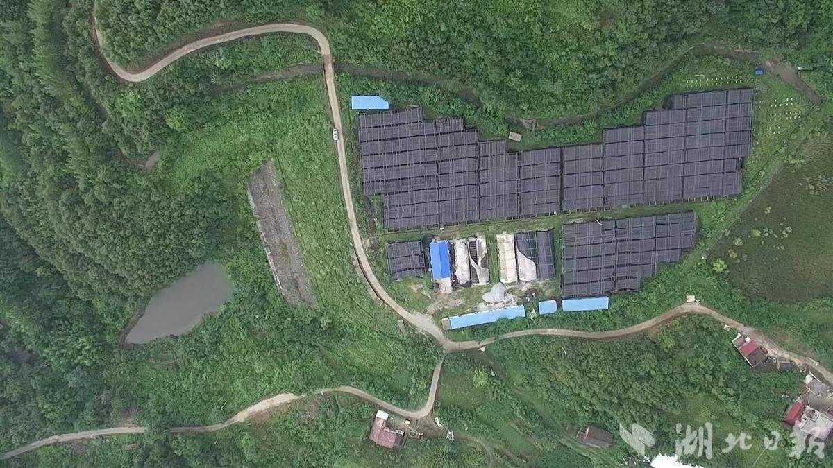 安全与“绿色”并驾齐驱，利用与富民结伴而行——十堰市74座闭（销）库尾矿库绿色转型调查