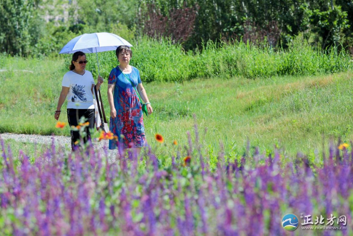 婕鍩庝腑,婕鍩庝腑妫灄