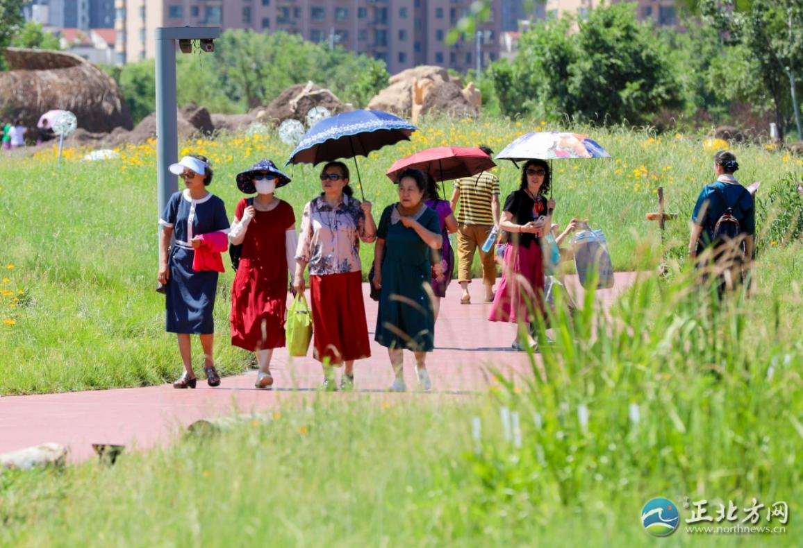 漫步城中,漫步草原美景