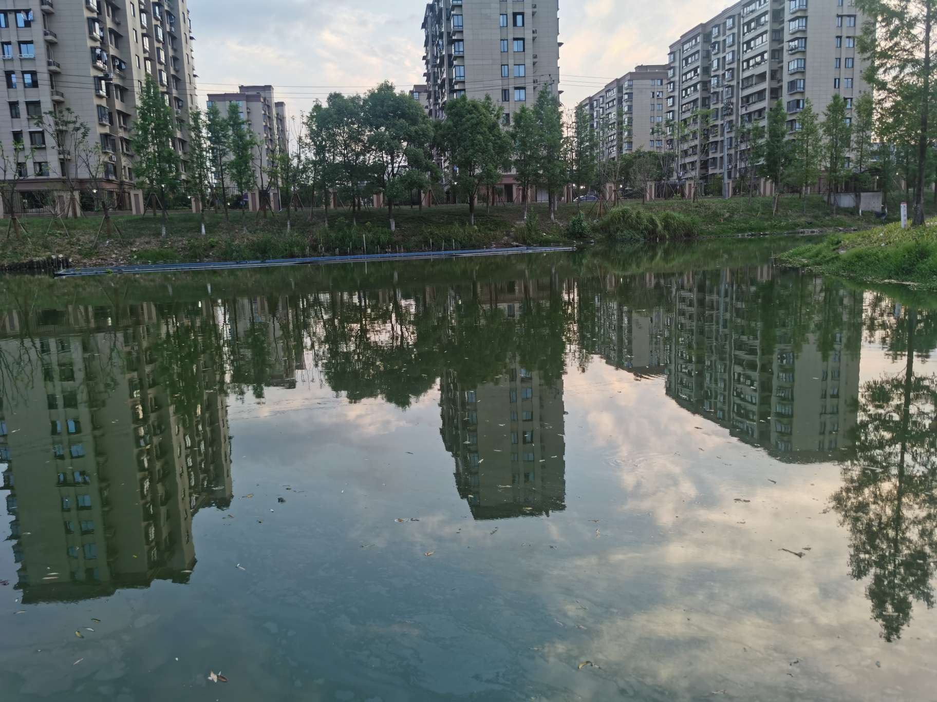 夏夜作钓难上难，百般曲折留遗憾