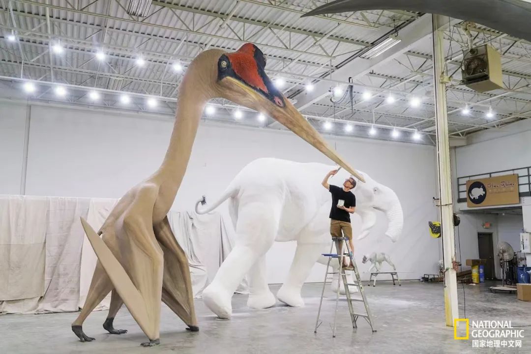 100张最伟大的体育照片,100张有史以来最伟大的照片