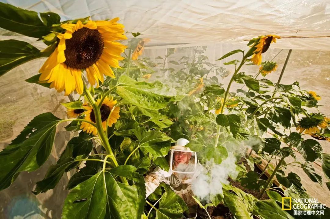 100张最伟大的体育照片,100张有史以来最伟大的照片