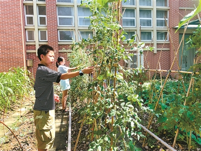 宁波暑假托班推荐,在学校过暑假