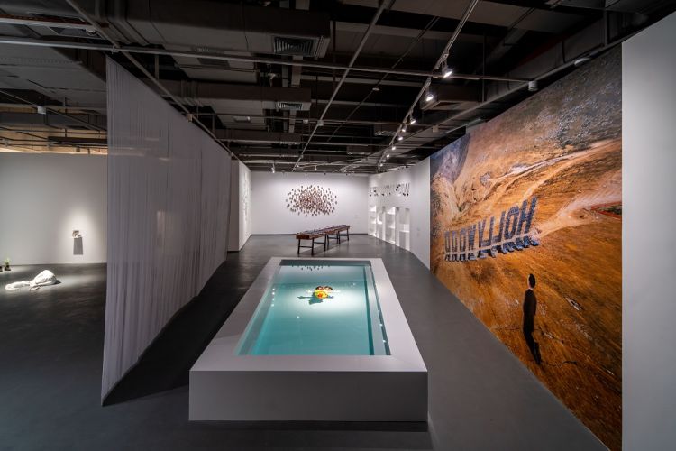 一根香蕉价值15万美金,莫瑞吉奥卡特兰香蕉