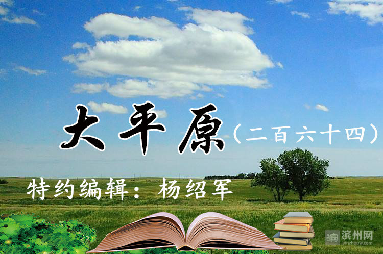 大平原（二百六十四）|光阴中那些难忘的曾经