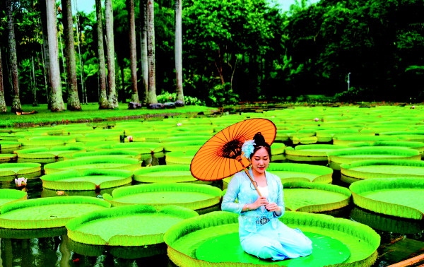 桂林人春节去哪里玩最好,桂林人去哪里旅游便宜又好玩