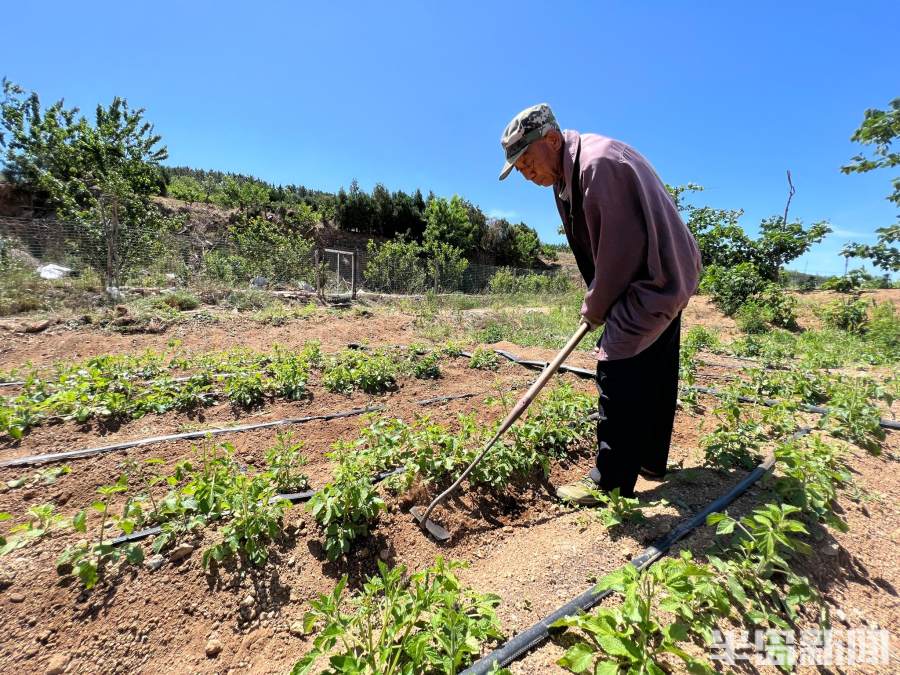 松下问童子言师采药去书法落款,松下问童子言师采药去采的什么药