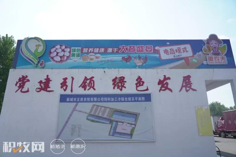 大音盛晏合作社：持续推进“种养产销”一体化产业链建设，蛋品深加工车间已开始建设