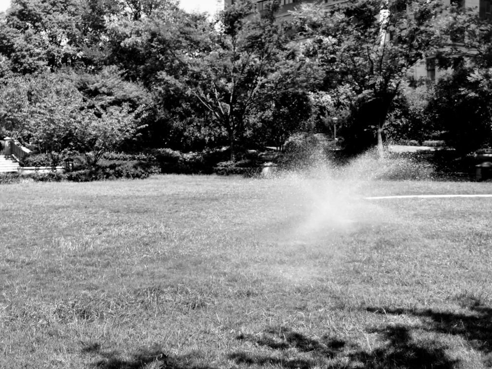 合肥绿城翡翠湖玫瑰园法拍,合肥绿城玫瑰园污水改造