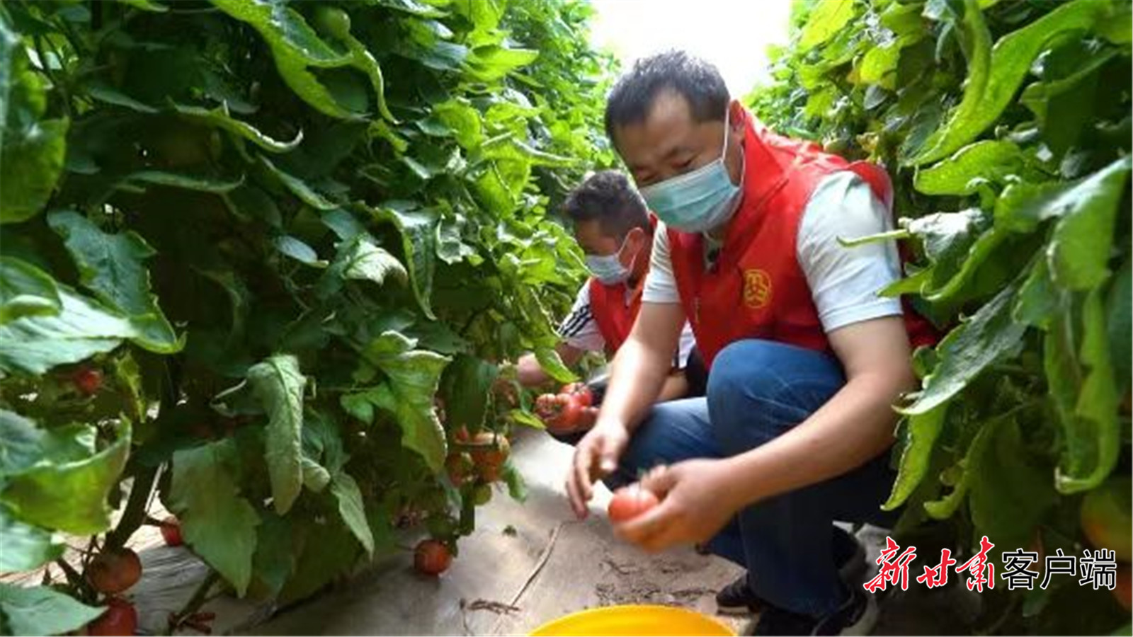 临洮物资保障,全力保障抗疫物资供应