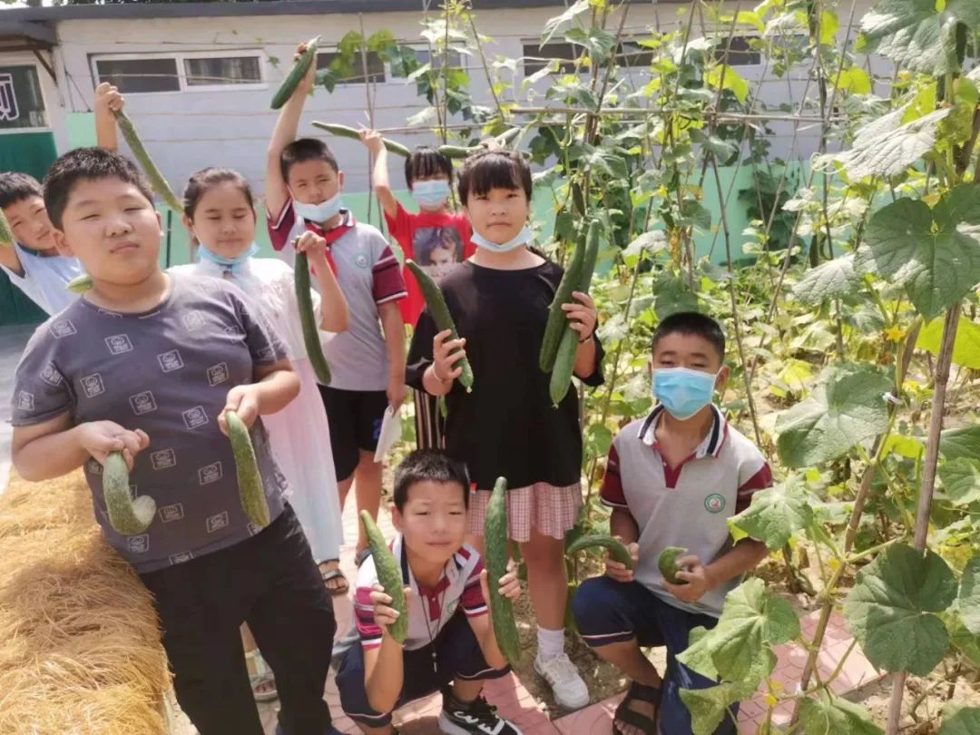 潍坊前宁小学,前园小学附近托管班