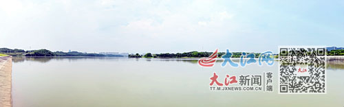 水质泛绿发臭,水体发臭变绿