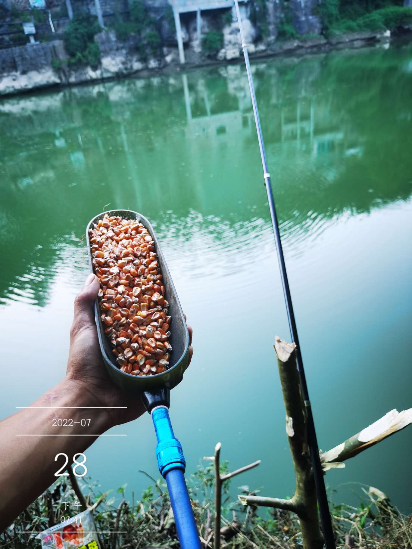 「七月鱼获」骗最憨的巨草！上最憨的洋当