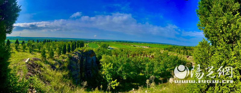 蒲城：栽植苗木11万株荒山盖上“绿被子”