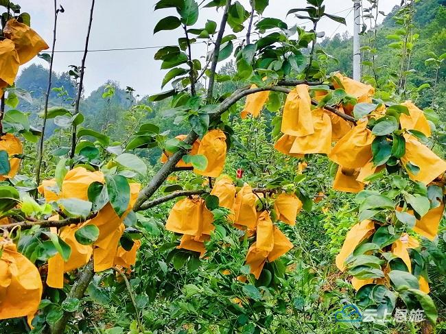 湖北恩施州宣恩县长潭河乡,宣恩县长潭河乡