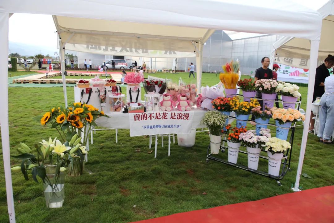 大理弥渡数字农业公园抖音团购,大理弥渡数字农业公园优惠