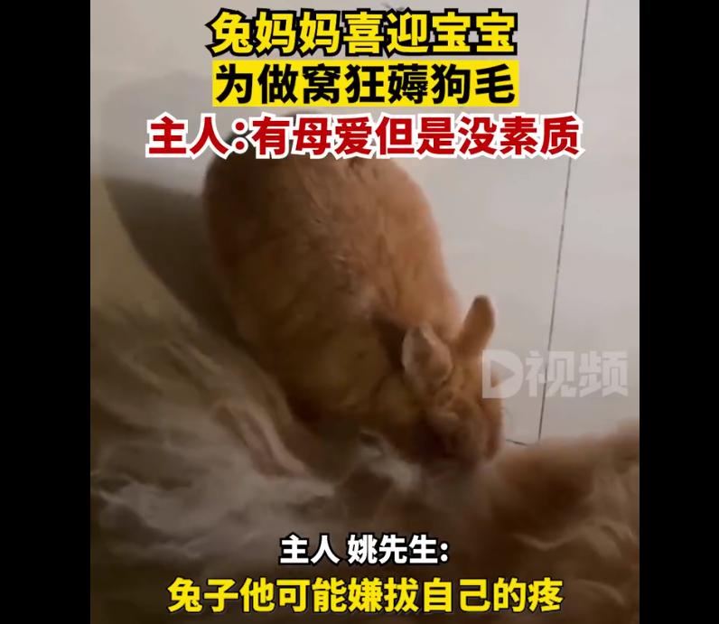 楣挎櫁鍥炲簲鏀瑰悕浜嬩欢,楣挎櫁鍥炲簲鏀瑰悕