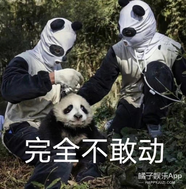 橘子晚报/吴京拒绝女嘉宾挽手?姜昇润恋情?