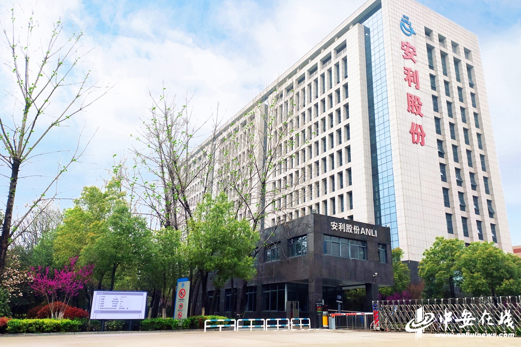 安利股份创新标兵,守正创新引领行业发展