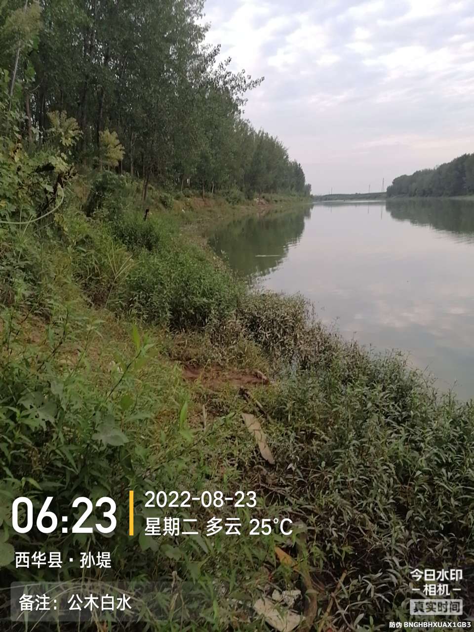 8月里面的鱼怎么钓,钓位选什么鱼最好