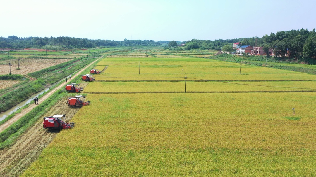 阔步新征程奋力开新局发言记录,稳步前行开新局扬帆再出发文章