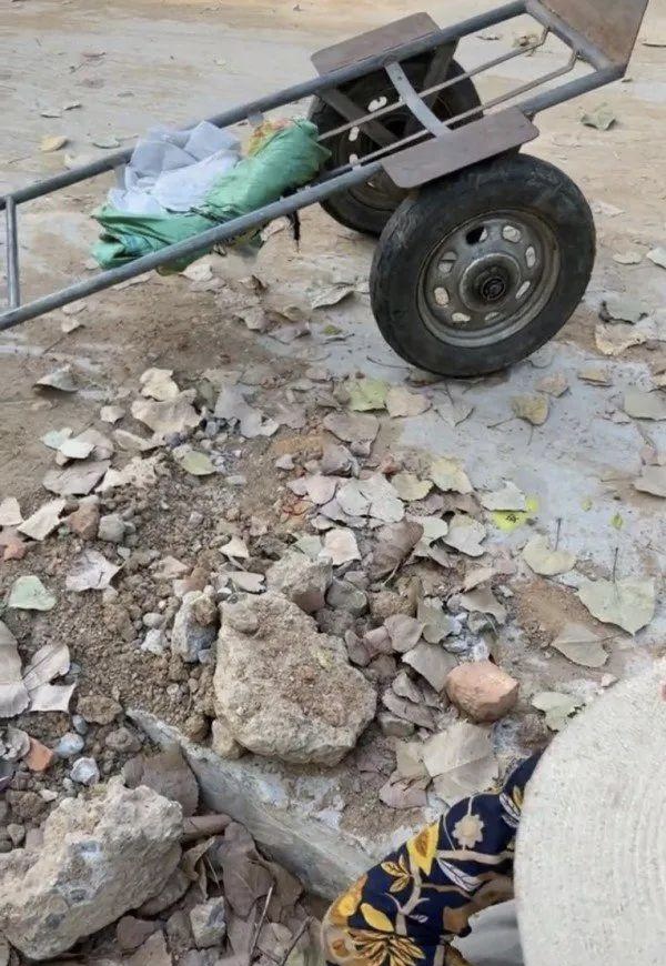 组团偷瓜老人处理结果,老人组团偷瓜怎么处理