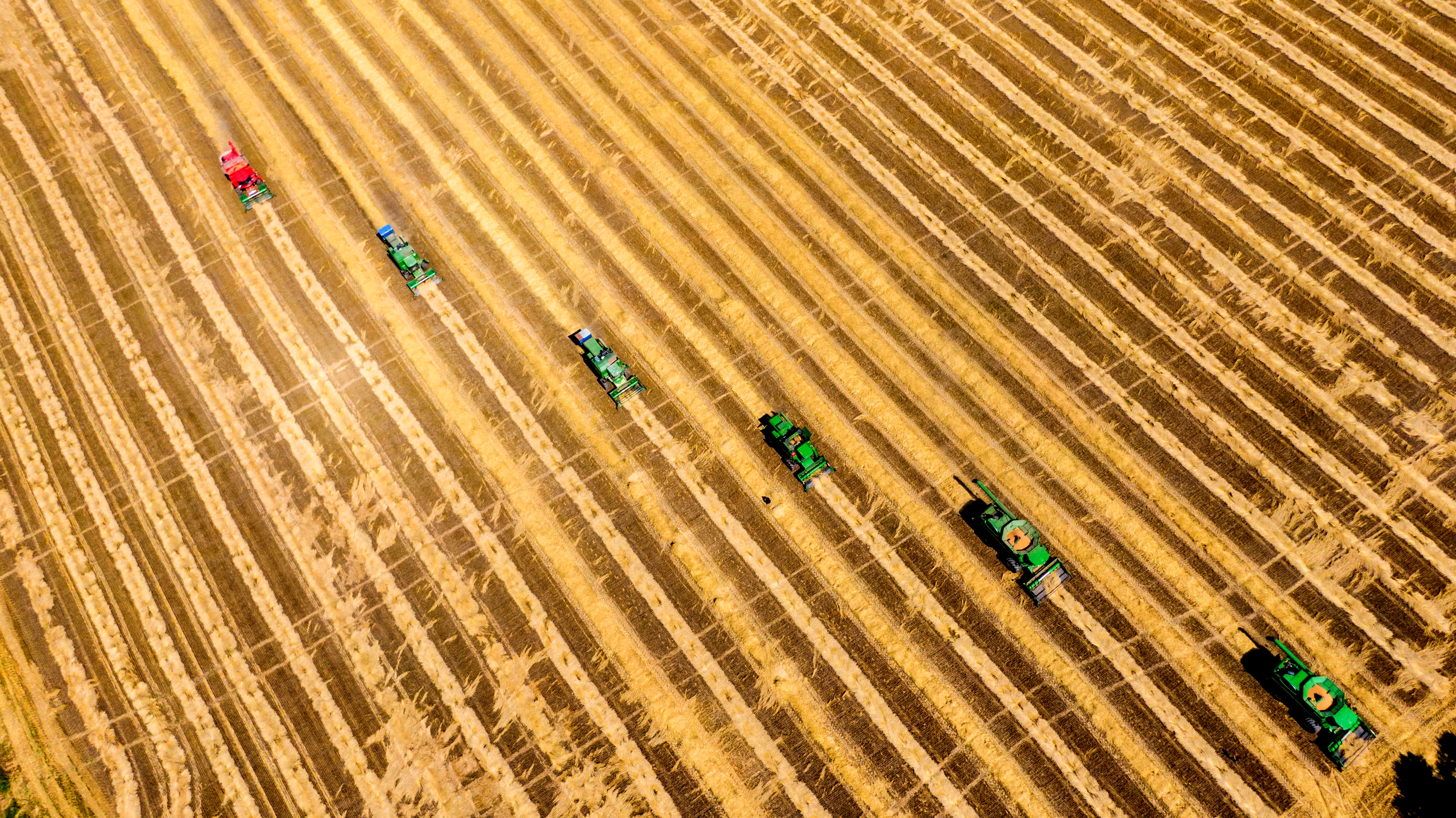 从产业链向区块经济发展“幸福麦田”的延伸……