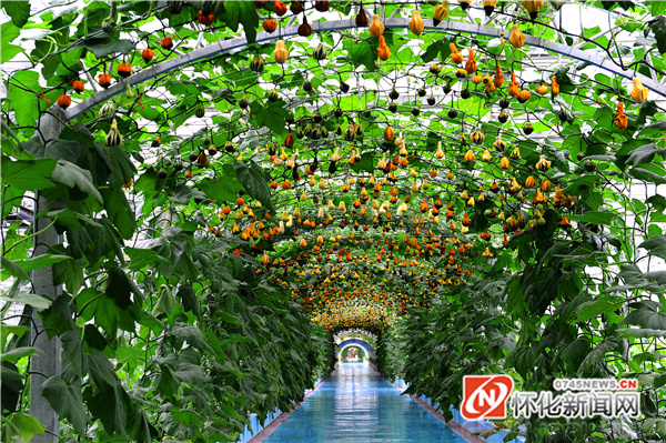 十年辉煌再启航,十年风雨铸辉煌高潮版